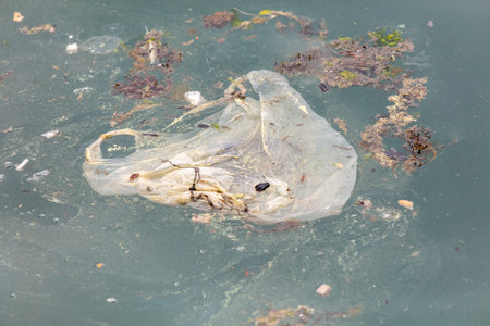 Garbage floats on the water in the sea.