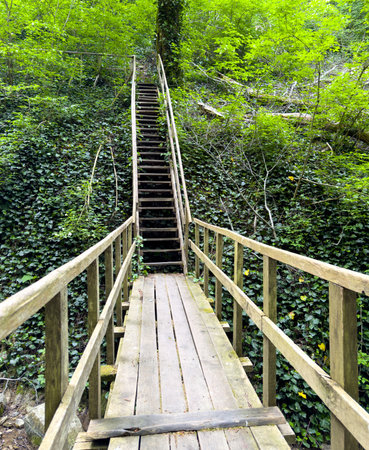 Wooden bridge staircase in a park in nature.