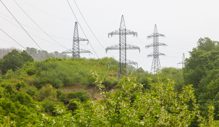 Electric pole in nature in the mountains in summer.
