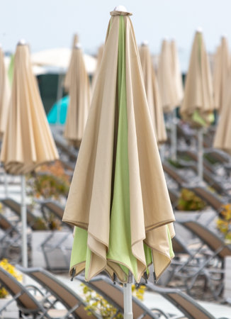 Closed umbrellas on the beach.の写真素材