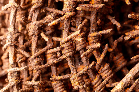 Close-up of rusty metal barbed wire.
