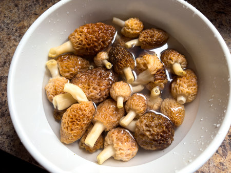 Close-up of morel mushrooms in a cup.