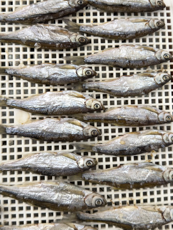 Bleak fish is dried in a dryer. Background.の写真素材