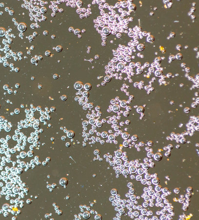 Balls of air on the surface of the water as a background. Macro.