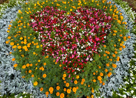 Heart made of flowers in the park.の写真素材