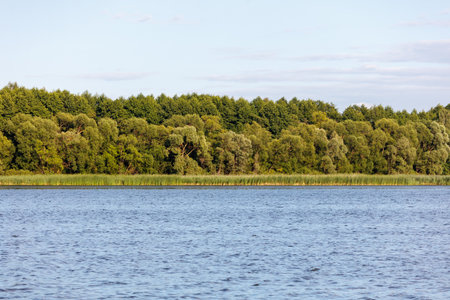 Green trees on the horizon on the lake shore.