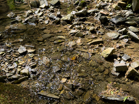 The river runs along the rocky cliffs in the mountains.