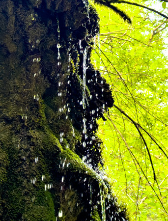 The river runs along the rocky cliffs in the mountains.の写真素材