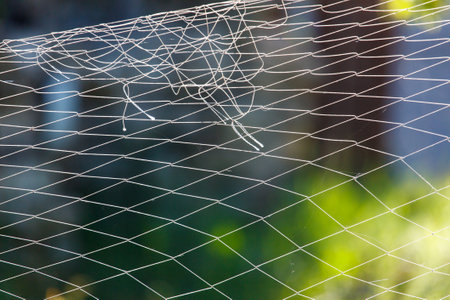 Woven net against the backdrop of nature in summer.