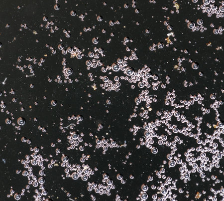 Balls of air on the surface of the water as a background. Macro.の写真素材