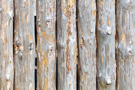 Wooden log house as an abstract background. Texture.の写真素材