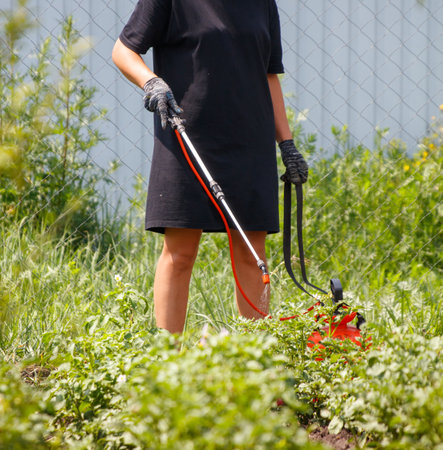 A girl treats potato leaves with insecticide against the Colorado potato beetle.の写真素材