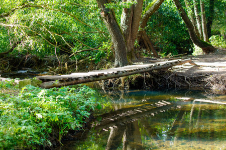 A wooden bridge spans a river, with trees on either side. The water is calm and clear, and the...