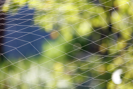 Woven net against the backdrop of nature in summer.の写真素材