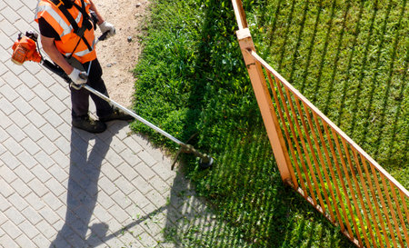 A man in an orange vest is using a lawn mower to cut the grass. The grass is overgrown and the man...