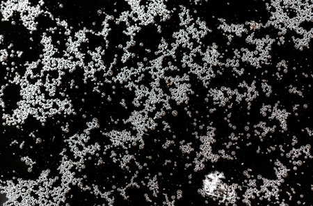Balls of air on the surface of the water as a background. Macro.