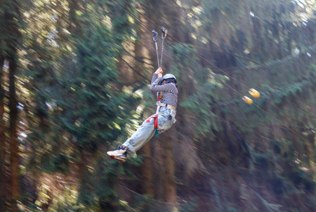A girl bungee-sliding in the trees in summer.の写真素材