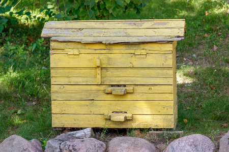 A yellow wooden box with a green roof sits in a grassy area. The box is old and has a rustic...
