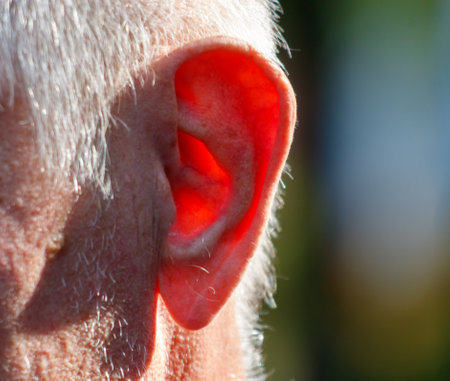 A man's ear is red and it is in the sunの写真素材