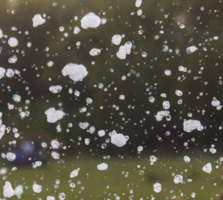 A field covered in white snowflakes, creating a serene and peaceful atmosphereの写真素材