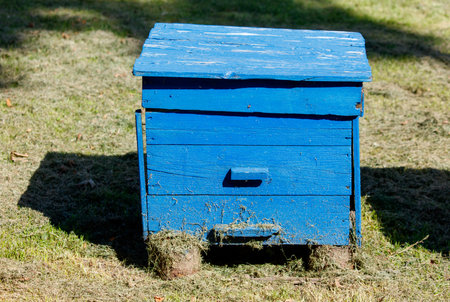 A blue wooden box with a lid sits on the grass.の写真素材