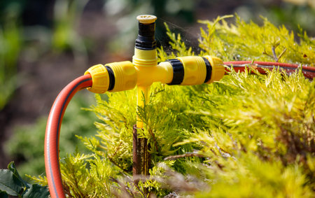 A yellow and black hose is connected to a water source. The hose is attached to a plant, which is surrounded by green leaves. Concept of growth and lifeの写真素材