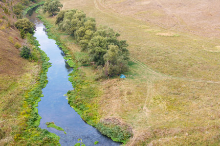 A river with a green bank and a tree in the middle. The river is calm and peacefulの写真素材