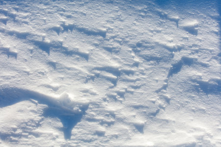 The snow is a bright white color and it covers the ground in a thick layer. The snow is so deep that it almost reaches the ground, creating a beautiful and serene winter landscapeの写真素材
