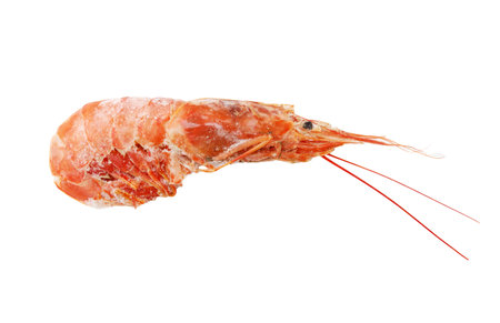 A shrimp is shown on a white background. The shrimp is partially frozen and he is in the process of thawingの写真素材