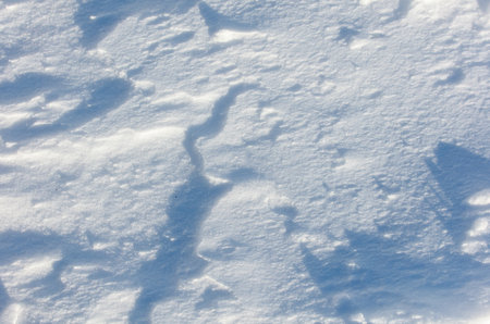 The snow is a bright white color and it covers the ground in a thick layer. The snow is so deep that...