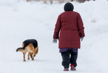 A woman is walking her dog on a snowy road. The dog is sniffing the ground and the woman is wearing a red coat. The scene is peaceful and quiet, with the snow covering the groundの写真素材