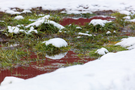 A snow covered field with a red puddle in the middle. The snow is piled up on the ground and the...