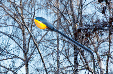 A street light is lit up in the snow. The light is yellow and is on a poleの写真素材