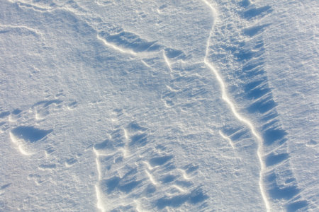 The snow is a bright white color and it covers the ground in a thick layer. The snow is so deep that it almost reaches the ground, creating a beautiful and serene winter landscapeの写真素材
