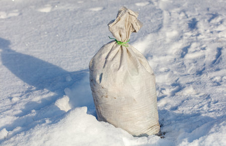 A bag of white material is sitting in the snow. The bag is tied with a green stringの写真素材