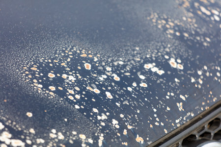 A car has a lot of paint splatters on it. The splatters are in different sizes and shapes, and they cover the entire car. The car appears to have been in an accident or has been vandalizedの写真素材