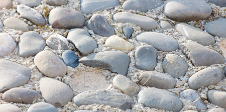 A rocky path with a few large rocks scattered about. The rocks are of various sizes and shapes, and...