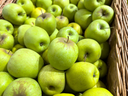 A basket full of green apples. The apples are fresh and ripe. The basket is made of wickerの写真素材