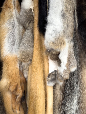 A row of fur coats hang on a rack. The fur is brown, white, and black