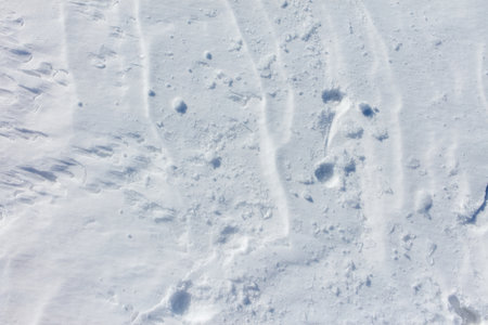 The snow is a bright white color and it covers the ground in a thick layer. The snow is so deep that it almost reaches the ground, creating a beautiful and serene winter landscapeの写真素材