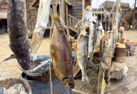 A bunch of fish hanging from a rope. The fish are dried and hanging from a tree. Scene is rustic and naturalの写真素材