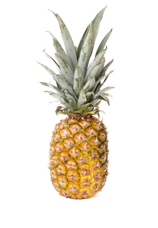 A pineapple is sitting on a white background. The pineapple is the main focus of the image. The white background emphasizes the bright yellow color of the pineappleの写真素材