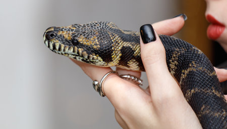 A woman is holding a snake in her hand. The snake is black and yellow. The woman's hand is black and her nails are painted blackの写真素材