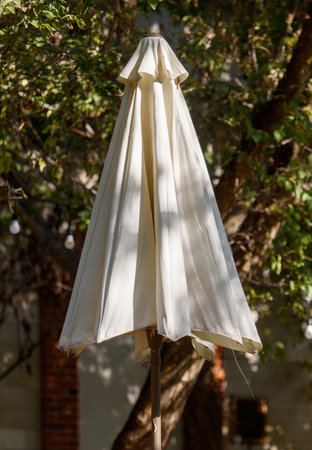 A white umbrella is standing in front of a tree. The umbrella is open and the tree is in the backgroundの写真素材