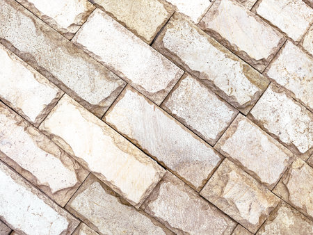 A brick wall with a white background. The bricks are slightly worn and the wall has a rough texture