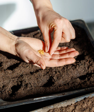 A person is planting seeds in a garden. The person is holding the seeds in their hands and placing them in the soil. Concept of care and attention to detailの写真素材