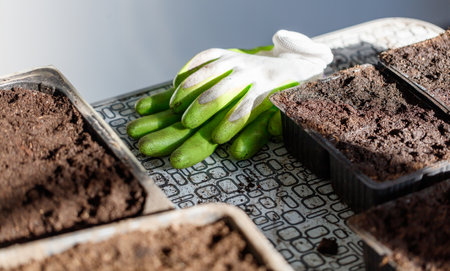 A pair of gardening gloves sits on a table next to a tray of dirt. The gloves are green and white,...