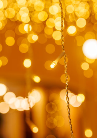 A string of lights hangs from the ceiling, creating a warm and inviting atmosphere. The lights are...