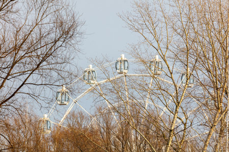 A large Ferris wheel is seen in the background of a forest. The trees are bare and the sky is cloudy. Scene is somewhat melancholic, as the Ferris wheel seems to be the only source of colorの写真素材