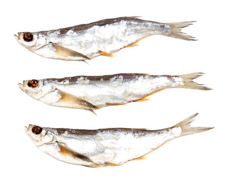 Three fish are shown on a white background. The fish are all different sizes and are all whiteの写真素材